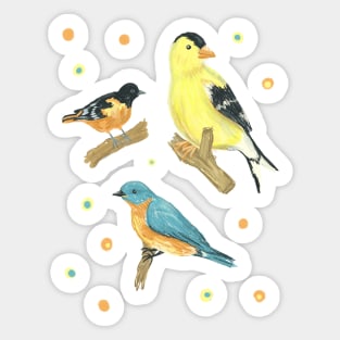 Song Bird Trio (Goldfinch, Oriole and Bluebird) Sticker
